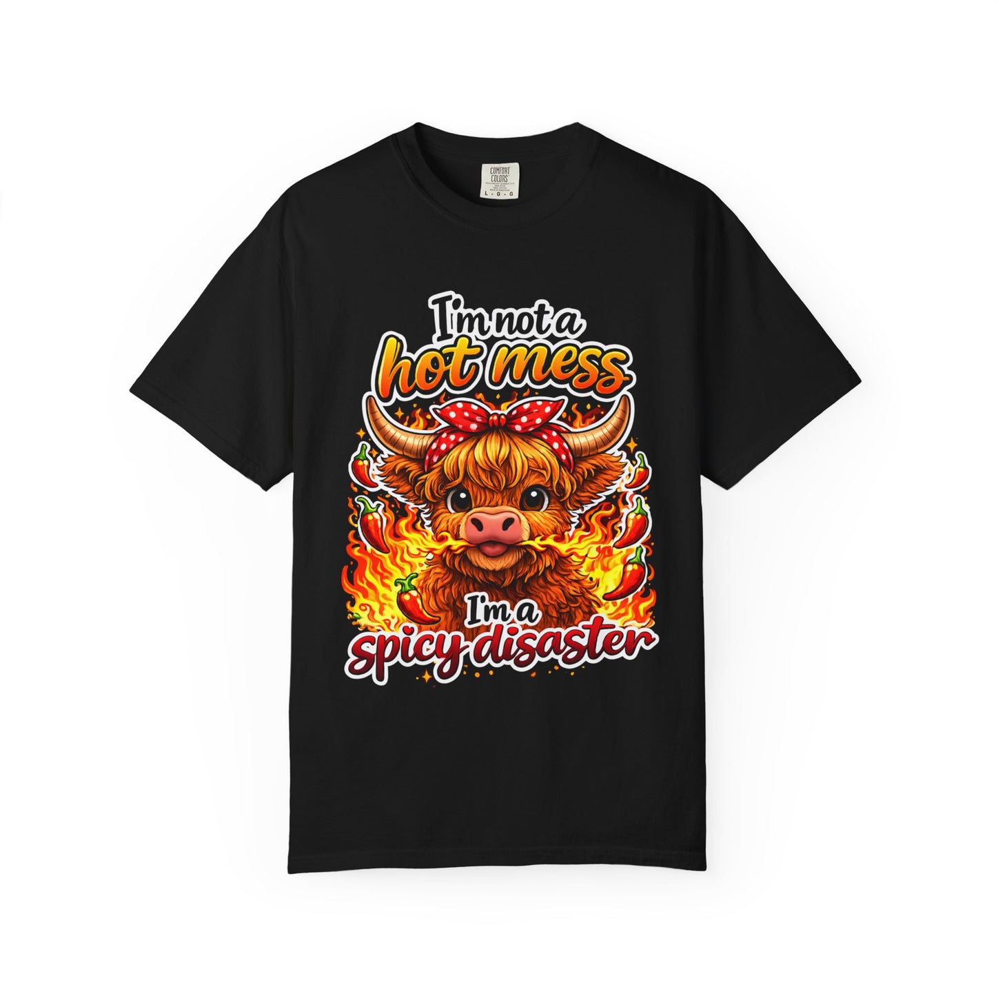 I'm Not a Hot Mess T-shirt